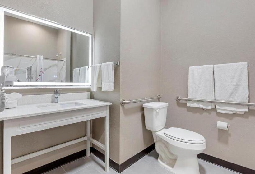 Номер Superior Адаптированный для Инвалидов, Red Roof Inn Hutchins