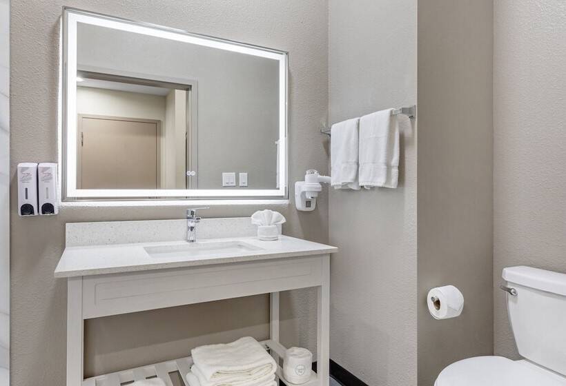 Номер Superior, Red Roof Inn Hutchins