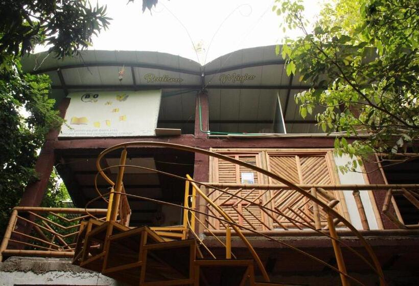 스탠다드 룸 산 전망, Bio Coliving Tayrona