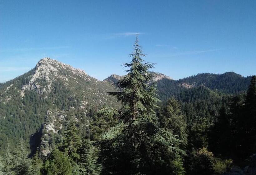 Четырехместный номер эконом класса с общей ванной комнатой, Gîte De Montagne Azilane