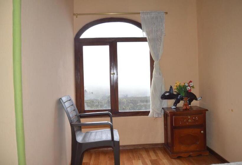 اتاق لوکس, Hostal Conejito