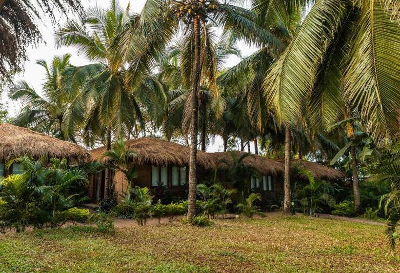 1间卧室的房子, Anahata Retreat Ashvem Goa