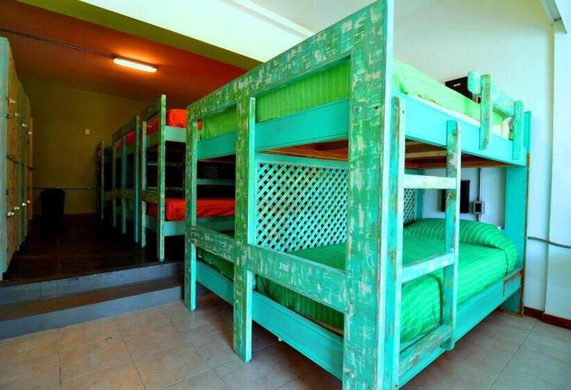 מיטה בחדר משותף, Hostel Del Puerto