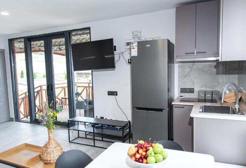 Номер Стандарт Вид на Горы, Aparan Guest House