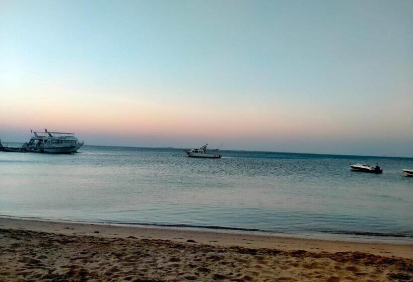 Номер Стандарт, Sun Beach Hotel Safaga