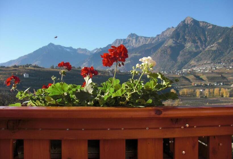 اتاق استاندارد با بالکن, Garni Unterhaslerhof