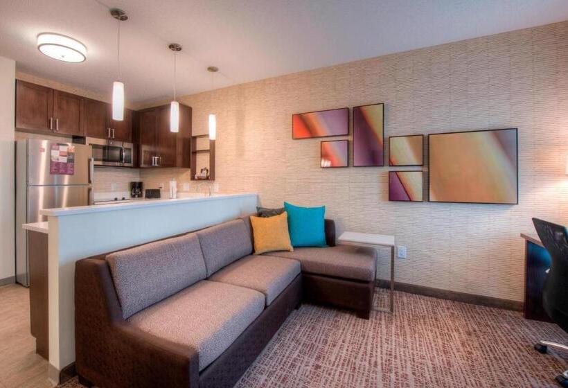 带大床的套房, Residence Inn By Marriott Charlotte Airport