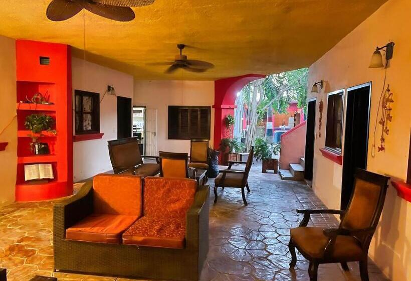 Апартаменты 1 Спальня с Террасой, Casa De Arnold