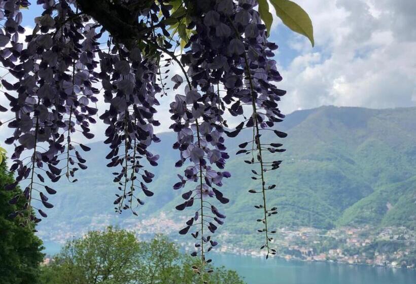 レイクビュークラシックルーム, B&b Villa Le Ortensie