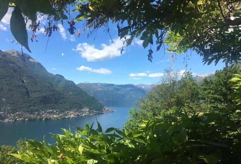Номер Классический Вид на Озеро, B&b Villa Le Ortensie