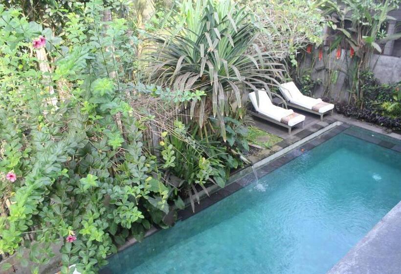 Номер Deluxe, Purana Boutique Resort