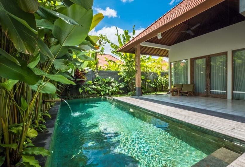 Вилла с 1 спальней и бассейном, Purana Boutique Resort