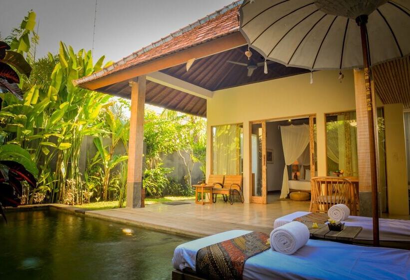 Вилла с 1 спальней и бассейном, Purana Boutique Resort