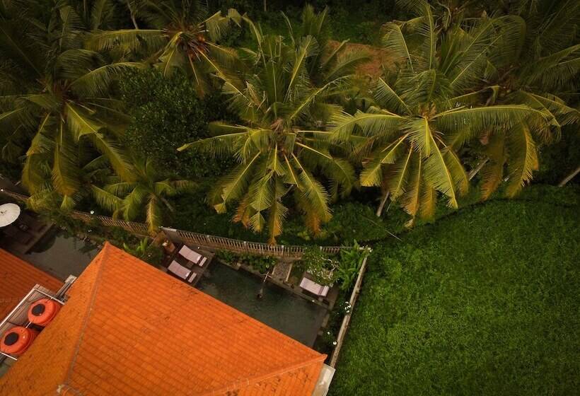 Номер Deluxe Вид на Бассейн, Purana Boutique Resort