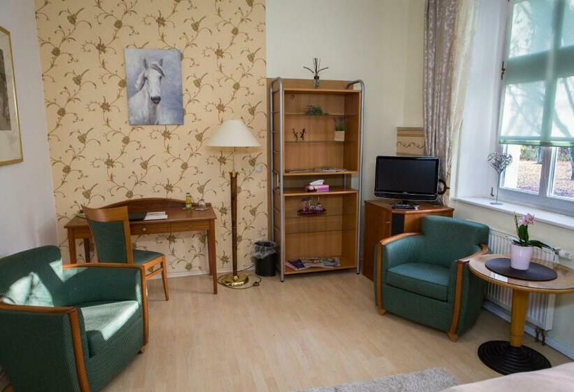 غرفة إقتصادية, Internat Schloss Spiegelberg