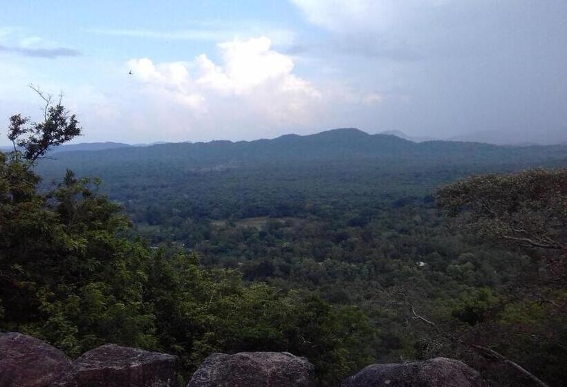 Номер Economy, Elephant Safari Lodge Sigiriya Junction