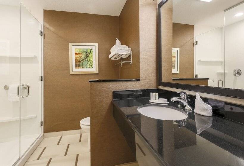 Люкс, Fairfield Inn & Suites By Marriott San Diego North/san Marcos