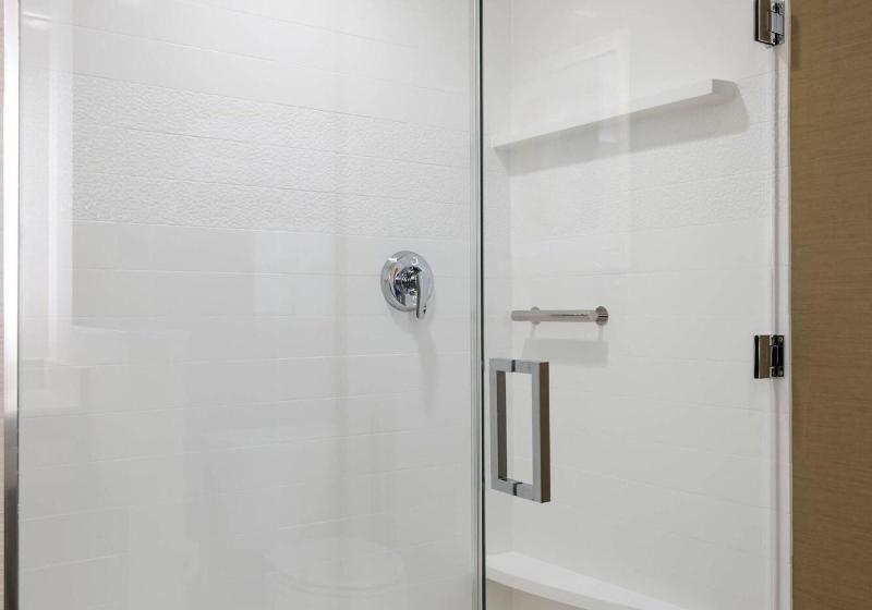 Люкс Кровать Кинг, Fairfield Inn & Suites By Marriott San Diego North/san Marcos