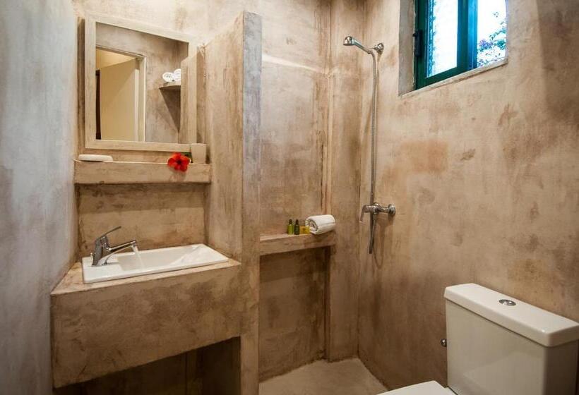 استودیوی استاندارد, Zante Nest Studios & Apartments