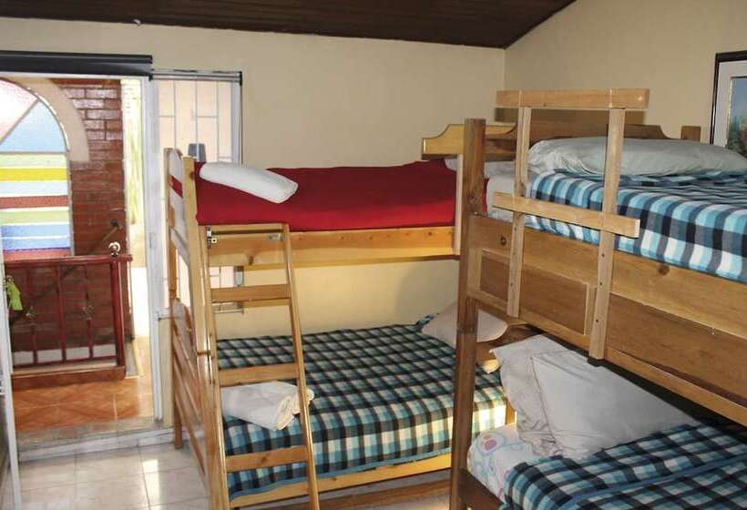 Dört Kişilik Standart Oda, Casa Posada Amelia