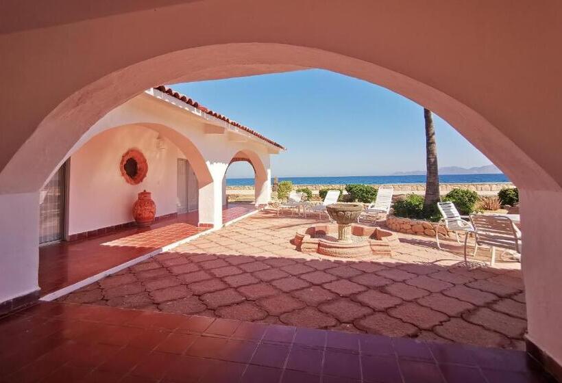 带大床的标准间, Rancho Las Cruces