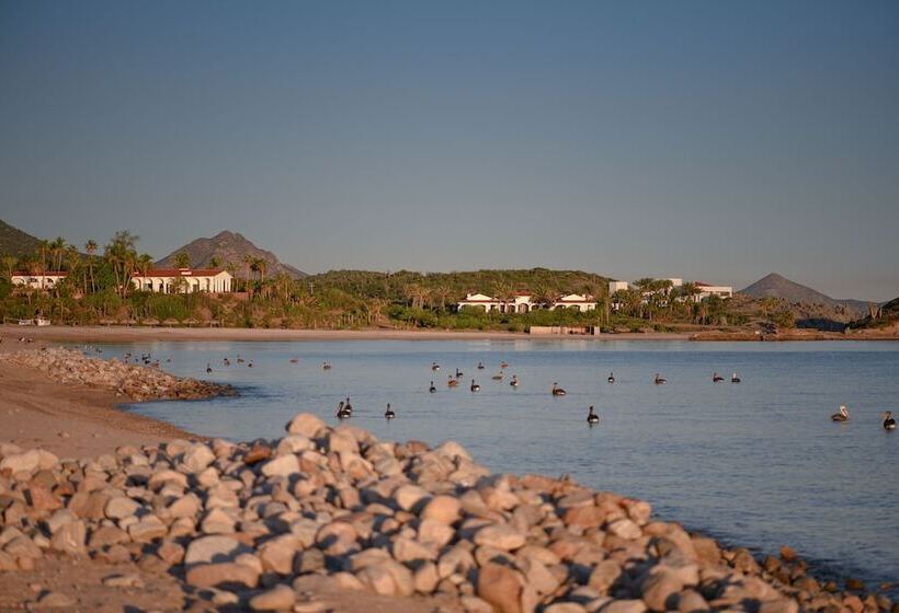 オーシャンビューデラックスルーム, Rancho Las Cruces