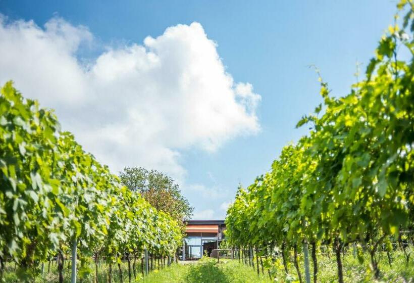 スタンダードルーム, Valdonica Winery Fine Dine & Wine
