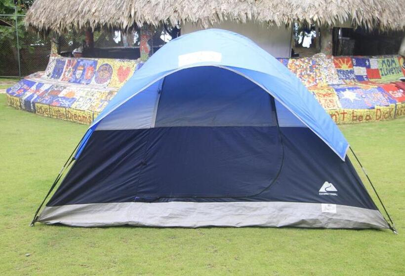 Standard Tent, Rocking J's