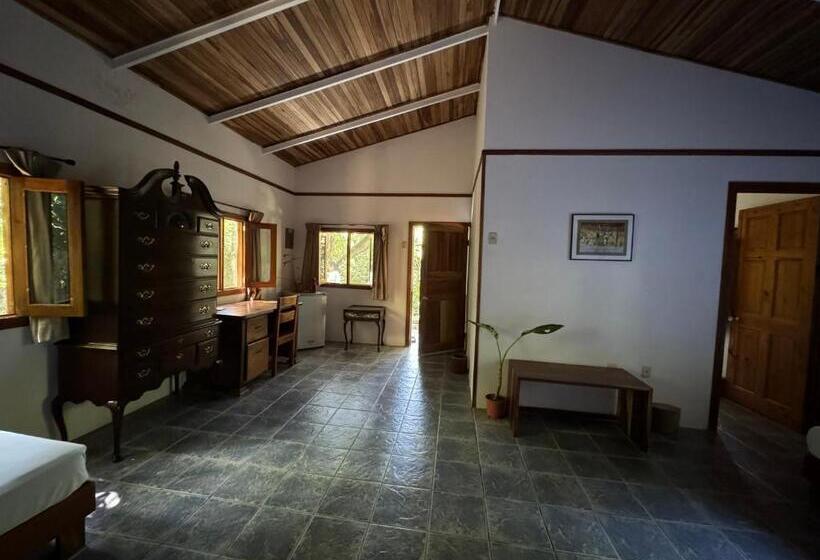 Family Suite, Star Mountain Jungle Lodge   Mal Pais, Santa Teresa