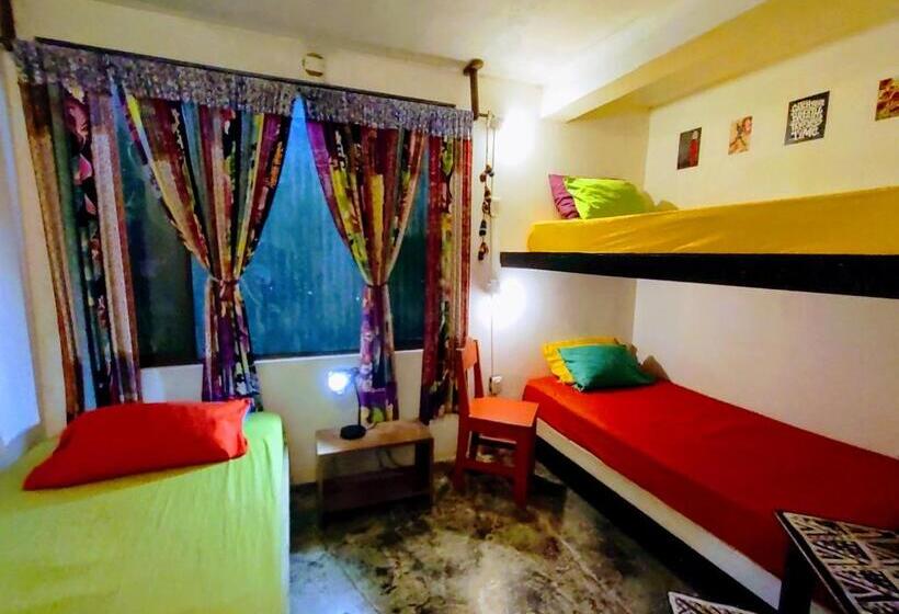 Cama em Quarto Partilhado, Casajungla Hostel