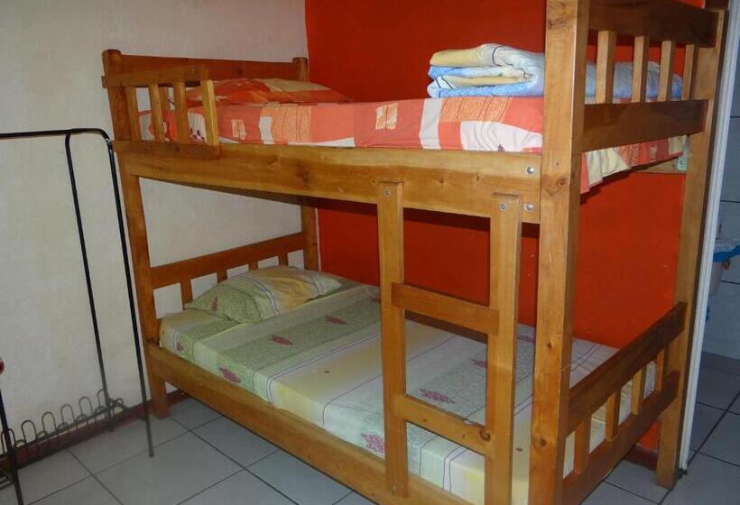 Кровать в Общей Комнате, & Hostel Sloth Backpackers