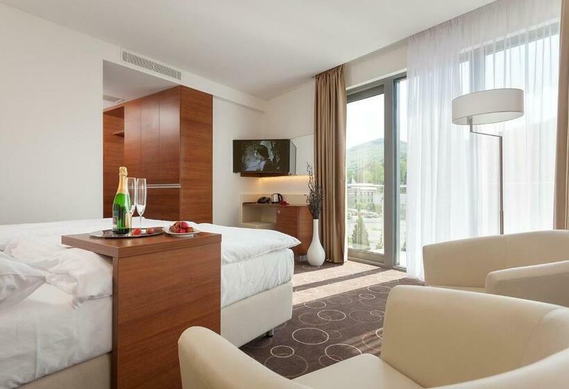 Номер Стандарт Индивидуальный, Wellness Hotel Panorama
