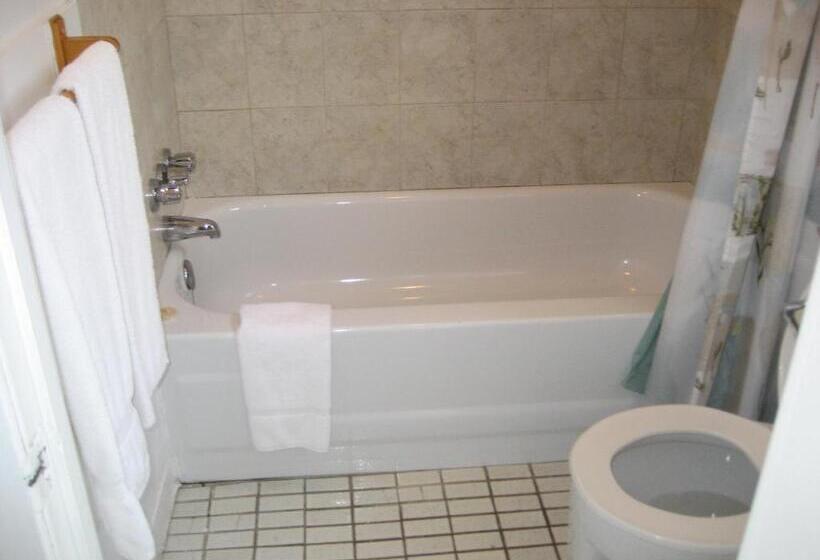 Номер Стандарт 2 Двуспальные Кровати, Motel Iberville