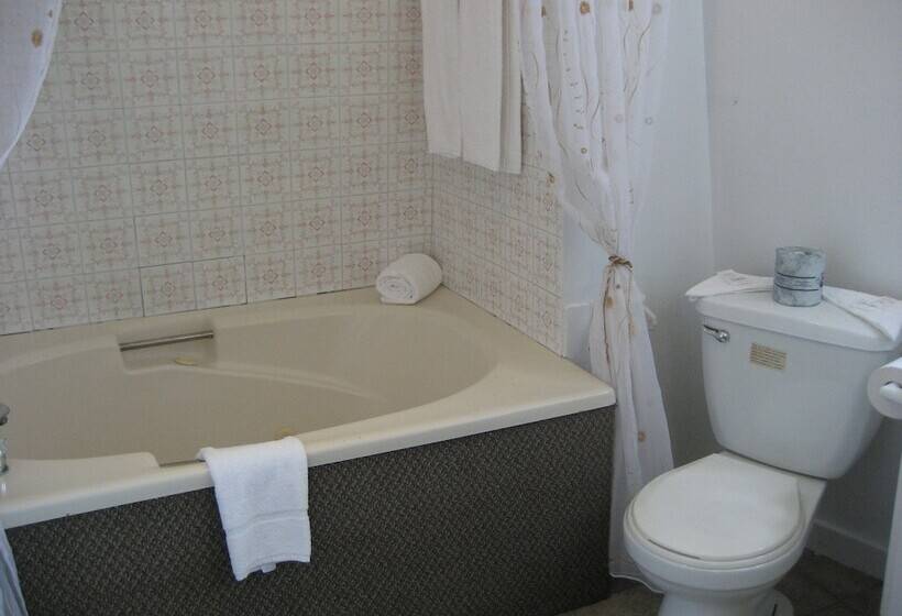 Люкс, Motel Iberville