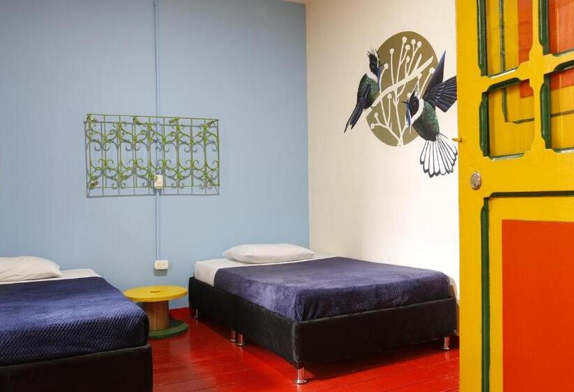 חדר סטנדרט, Golden Frog Manizales