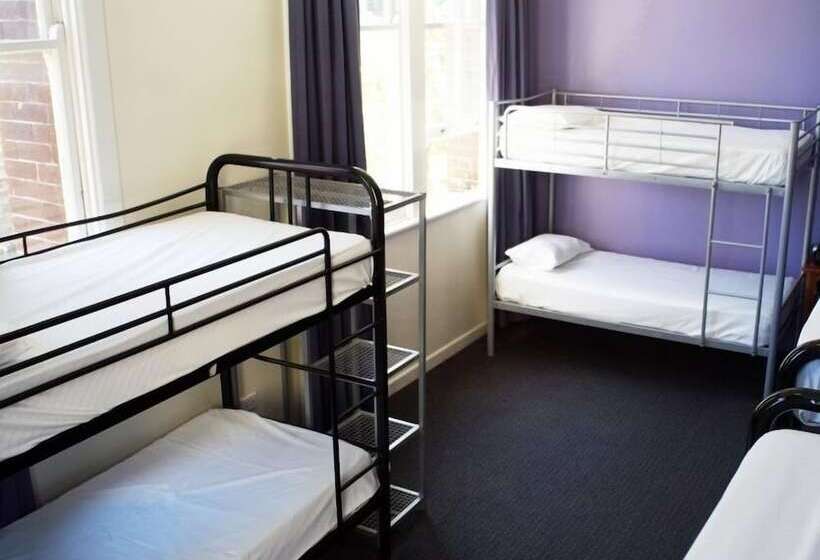 공용 욕실 구비 공동 객실 내의 침대, Big Backpackers Hostel