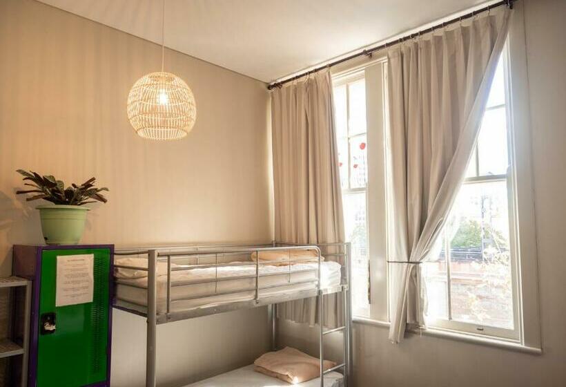 공동 객실, Big Backpackers Hostel