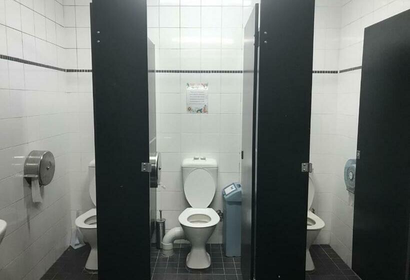 공동 객실, Big Backpackers Hostel
