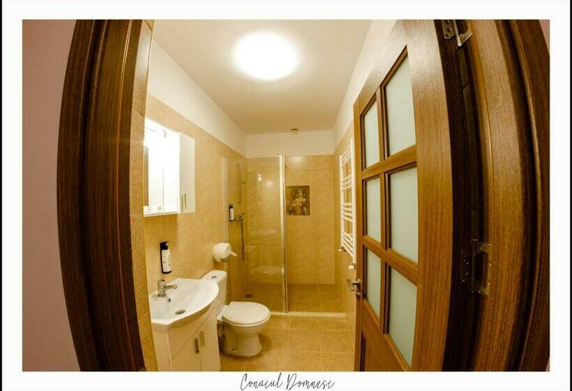 Номер Deluxe, Conacul Domnesc