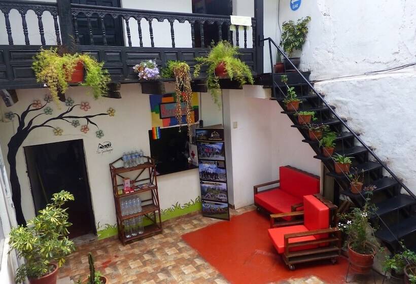 带共用浴室的标准房间, The Grasshopper Hostel