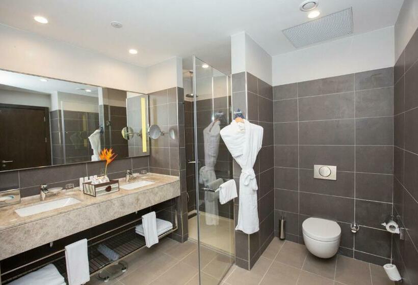 高级套房, Radisson Blu Hotel, Abidjan Airport