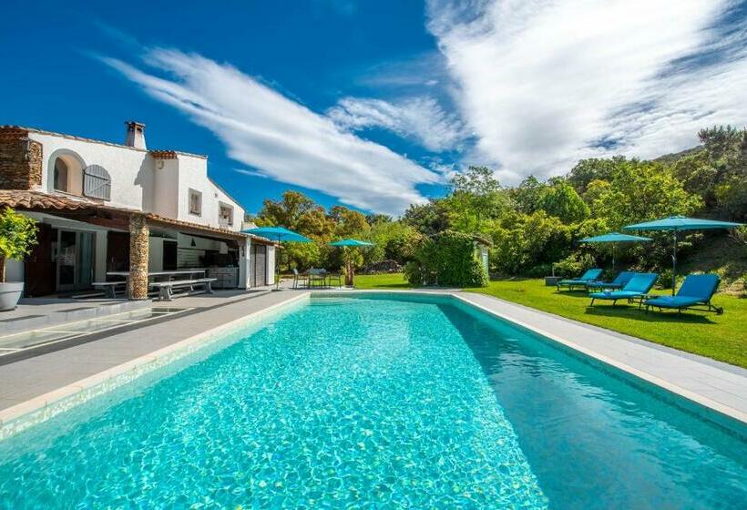 Студия Стандарт, Le Joyau Du Golfe De St Tropez