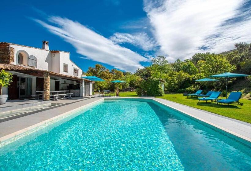 Номер Стандарт, Le Joyau Du Golfe De St Tropez