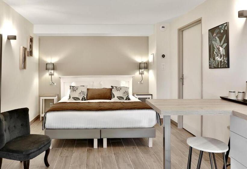 Студио Стандарт с Террасой, Domaine De La Rhonie