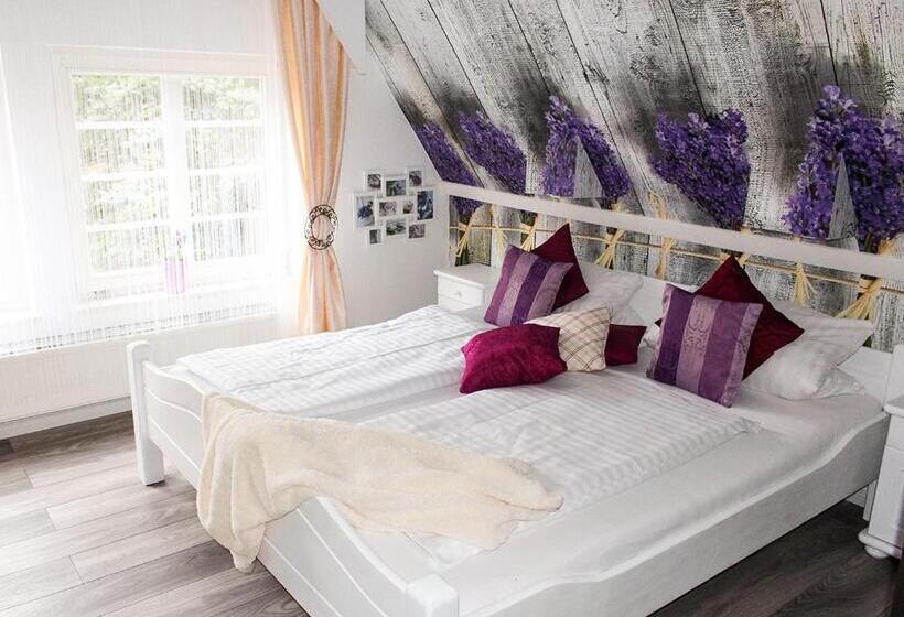 Номер Стандарт, Forsthaus Ferienhotel Am Dobrock