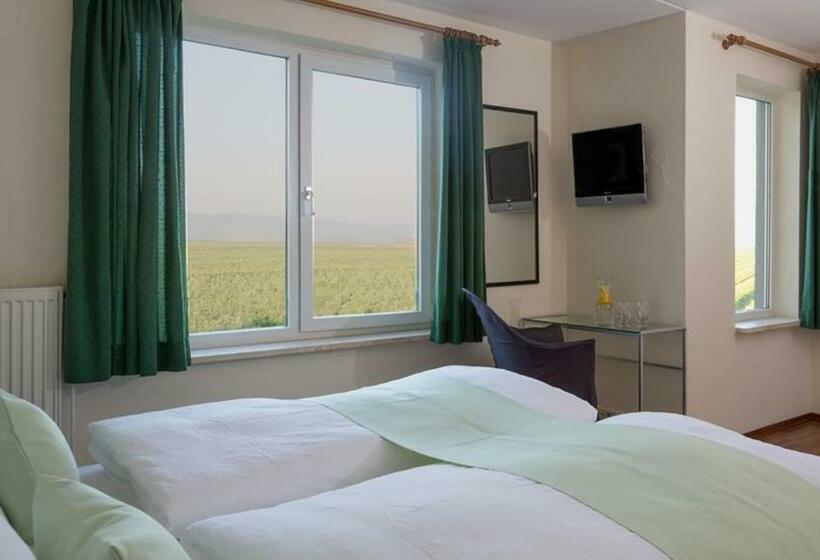 غرفة قياسية, Eurostrand Resort Moseltal