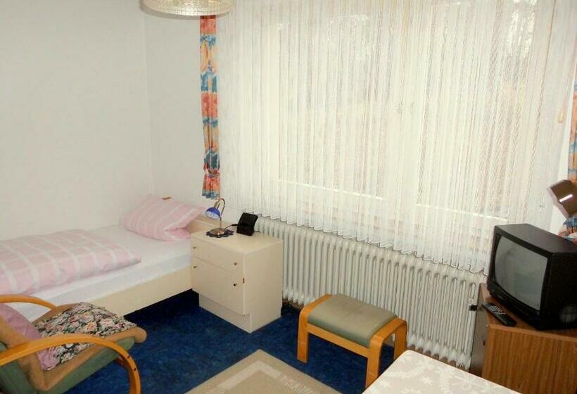 חדר סטנדרט יחיד, Haus Hellhohl Garni
