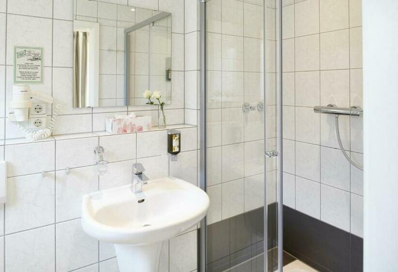标准单人间, Schwanenhof Hotel Und Restaurant