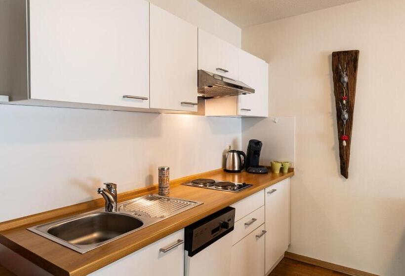 Студия Стандарт, Steiger Apparthotel Bad Schandau