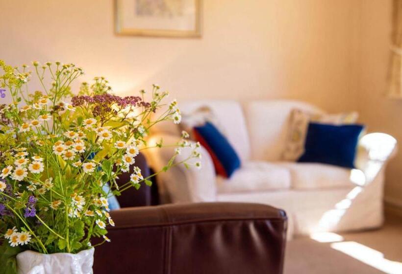 Люкс 2 Спальни, The Dinney B&b